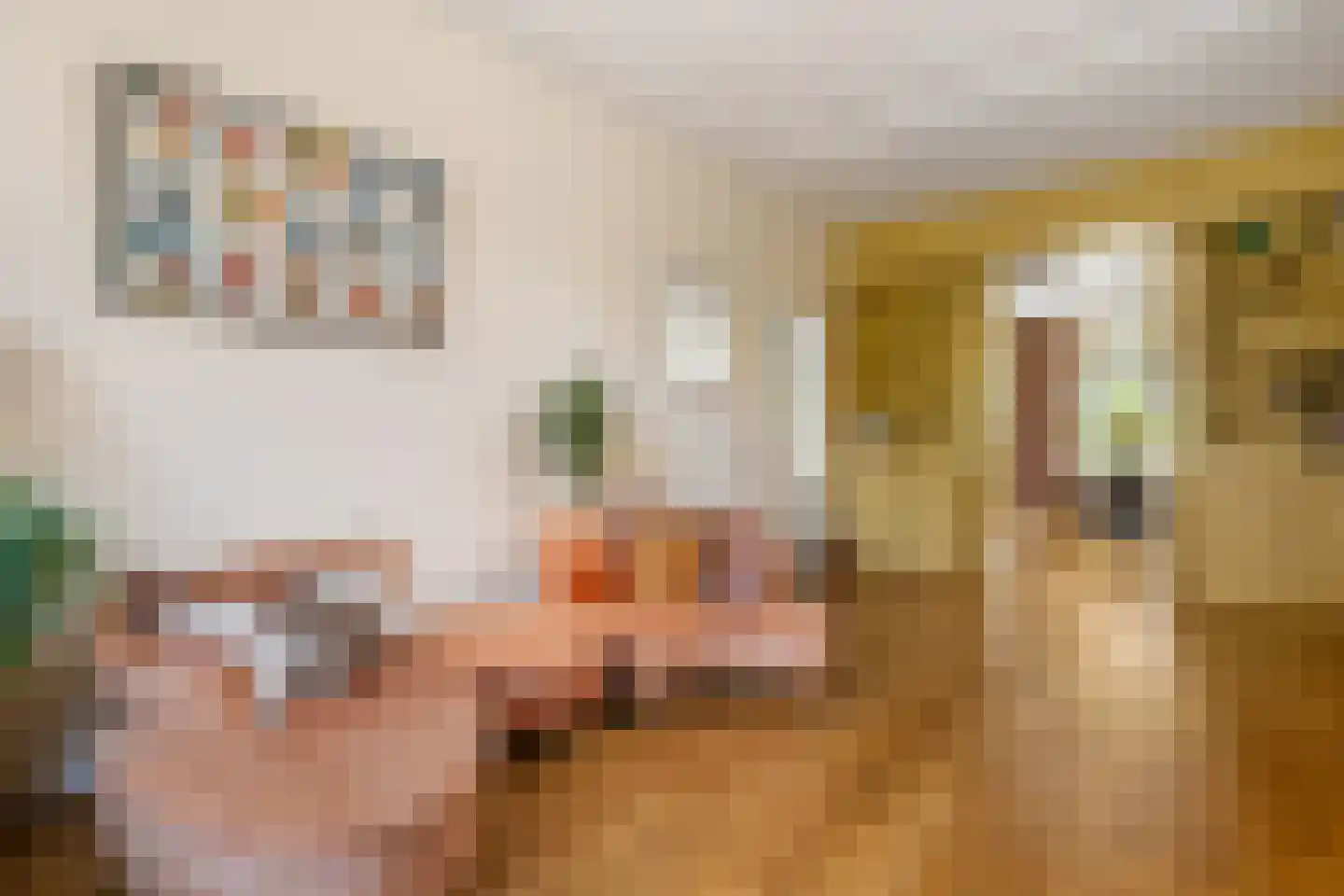 Oranjelaan 15 Rotterdam thumbnail 7