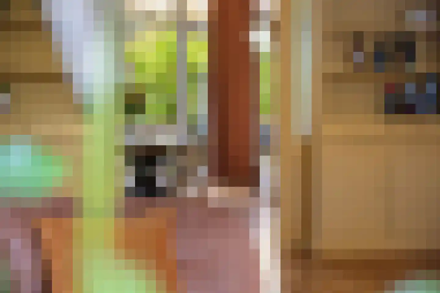 Oranjelaan 15 Rotterdam thumbnail 8