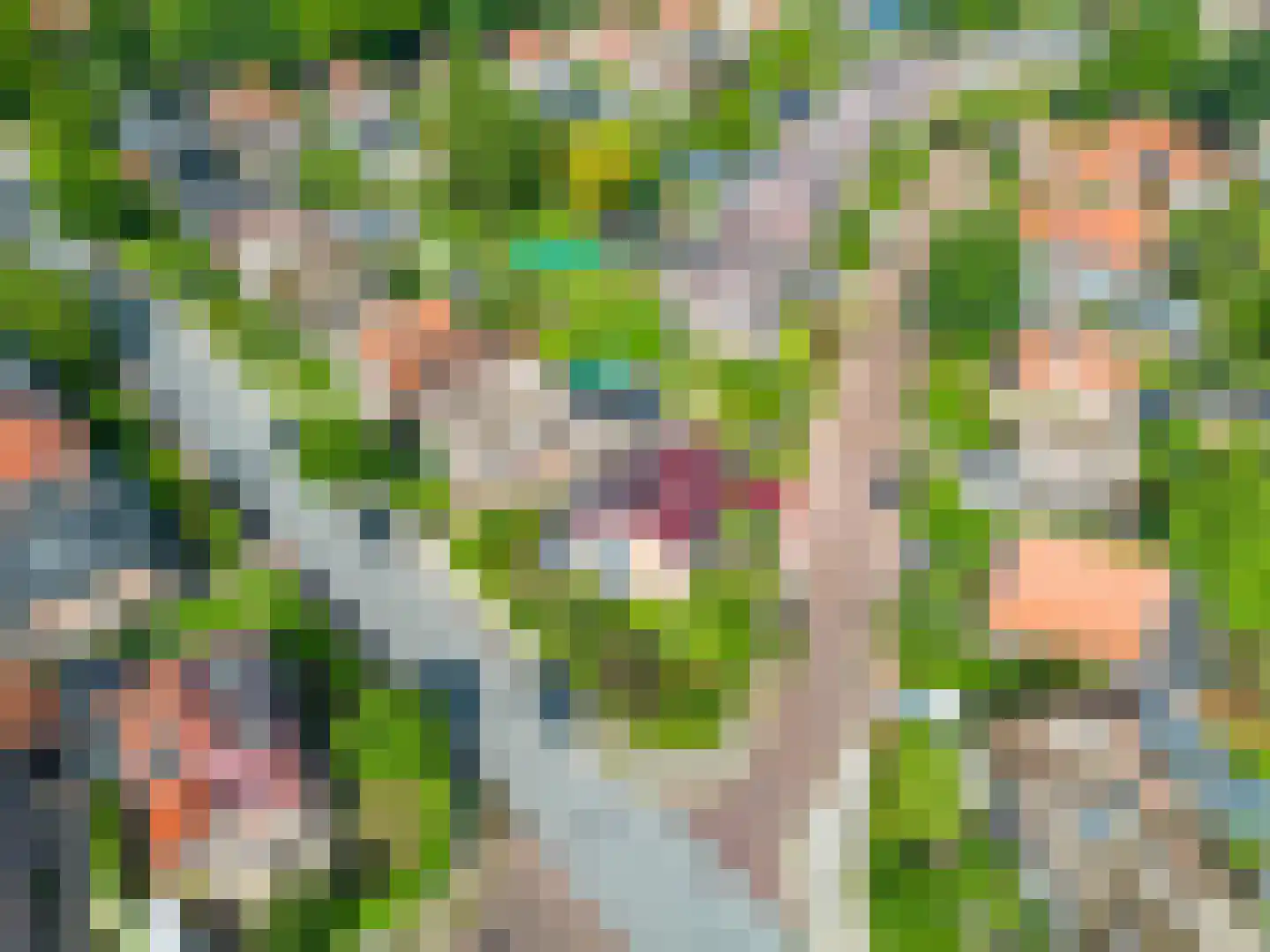 Oranjelaan 15 Soest thumbnail 35