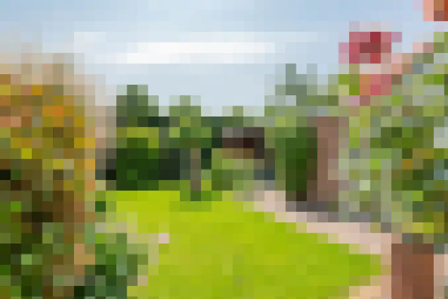 Oranjelaan 15 Tiel thumbnail 22