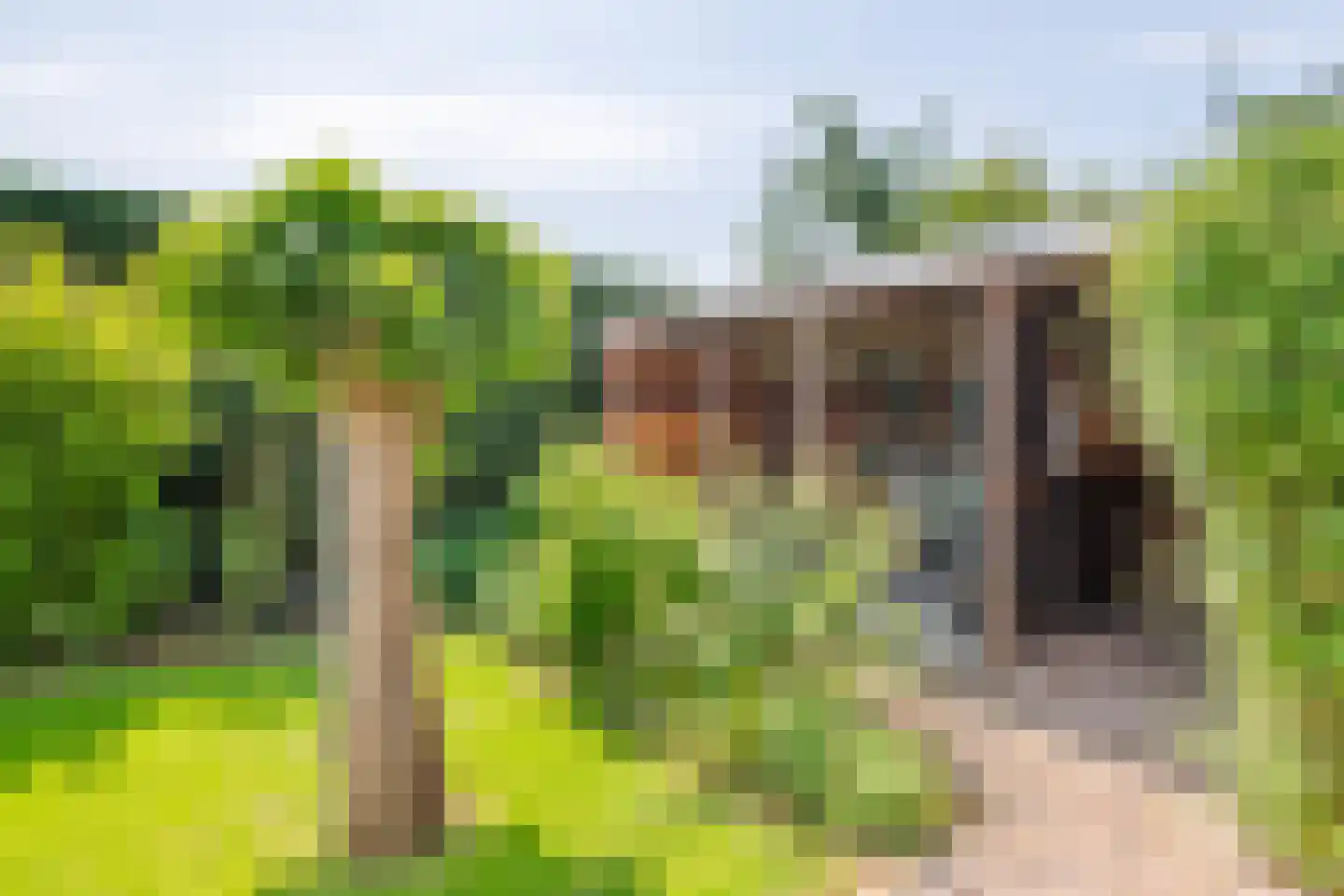 Oranjelaan 15 Tiel thumbnail 23