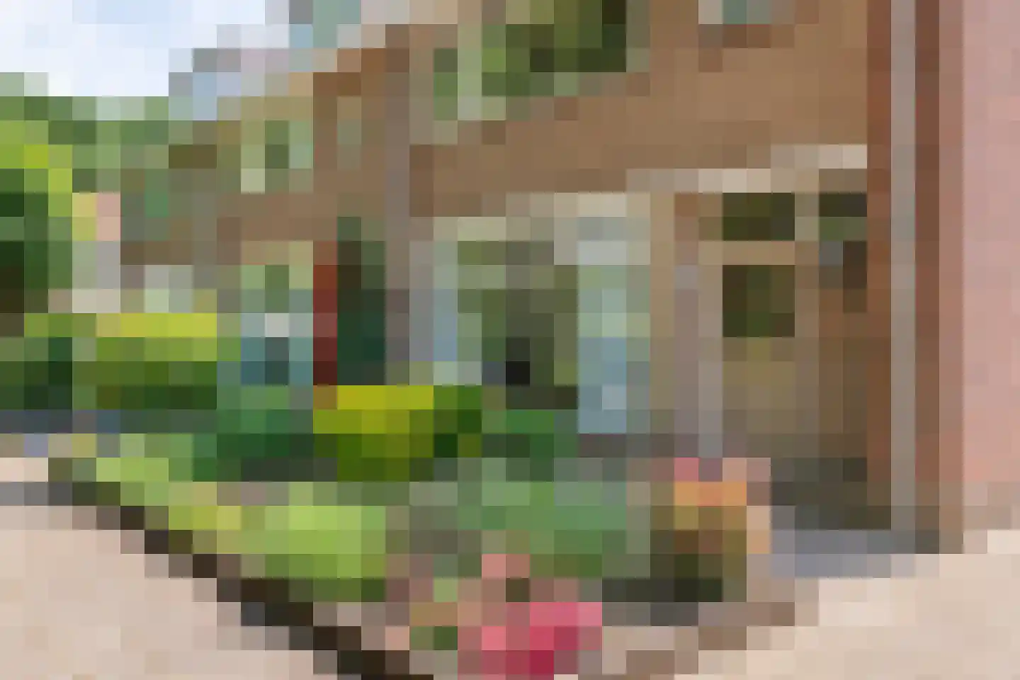 Oranjelaan 15 Tiel thumbnail 27
