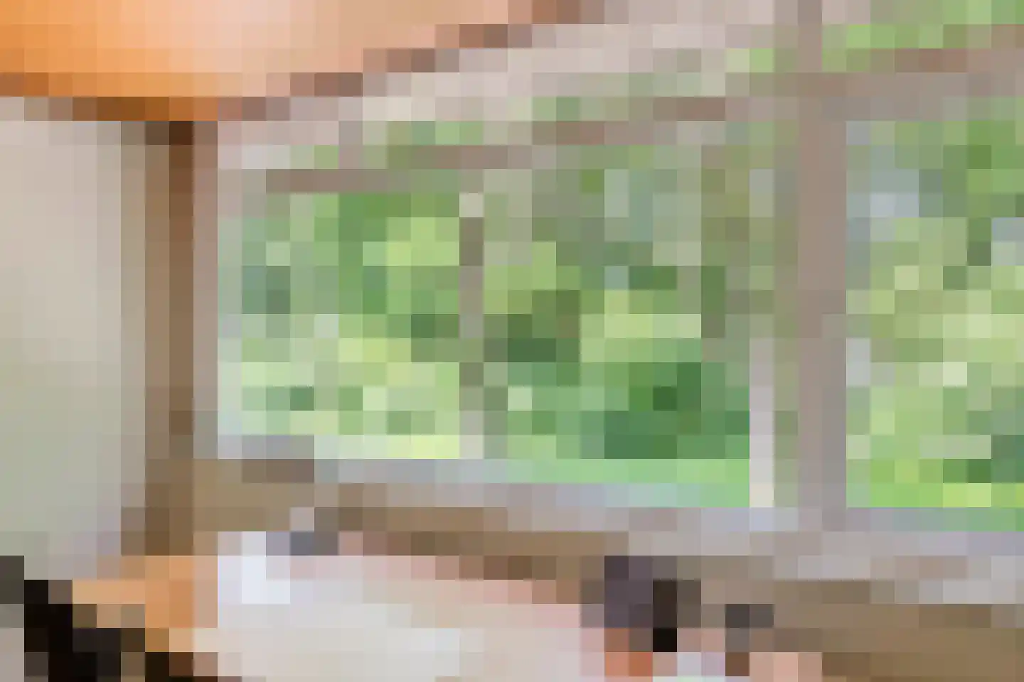 Oranjelaan 15 Tiel thumbnail 35