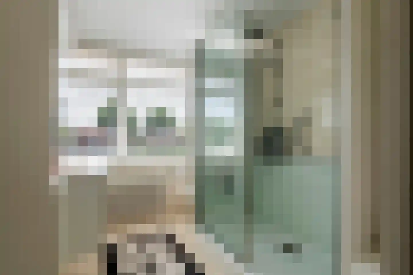 Oranjelaan 15 Tiel thumbnail 42
