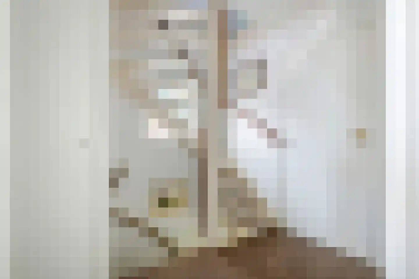 Oranjelaan 15 Tiel thumbnail 47