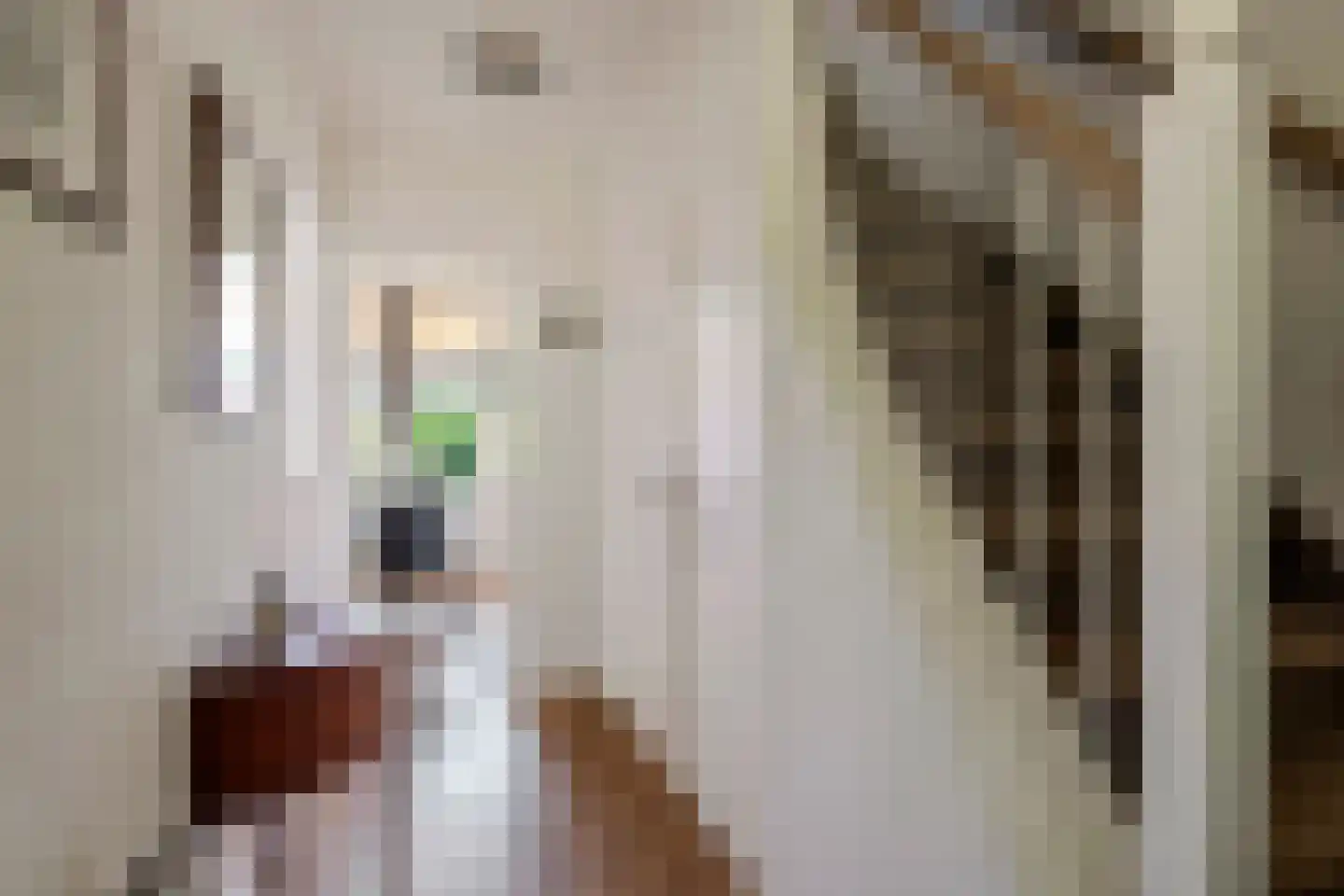 Oranjelaan 15 Tiel thumbnail 5
