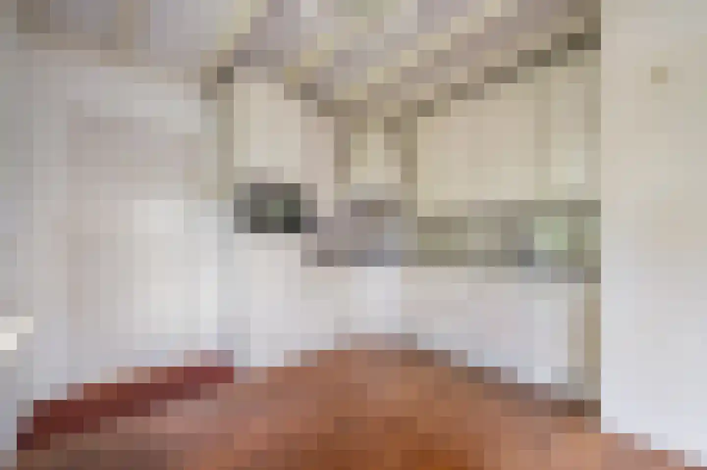 Oranjelaan 16 Alkmaar thumbnail 8