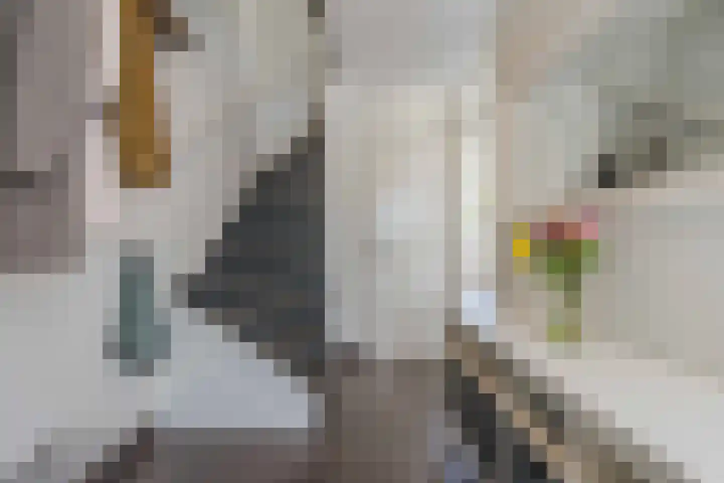 Oranjelaan 167 Rijnsburg thumbnail 7