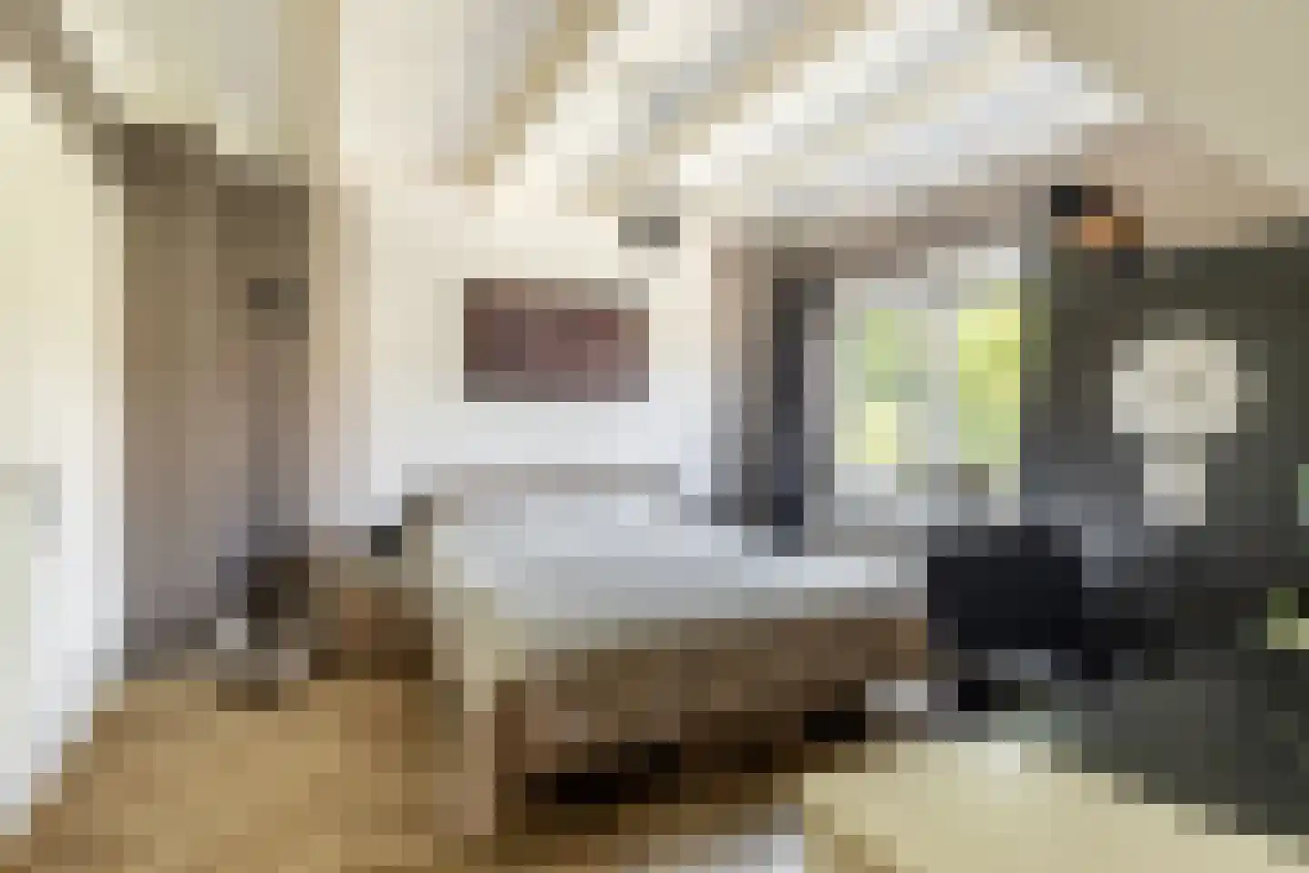 Oranjelaan 17 Harderwijk thumbnail 21