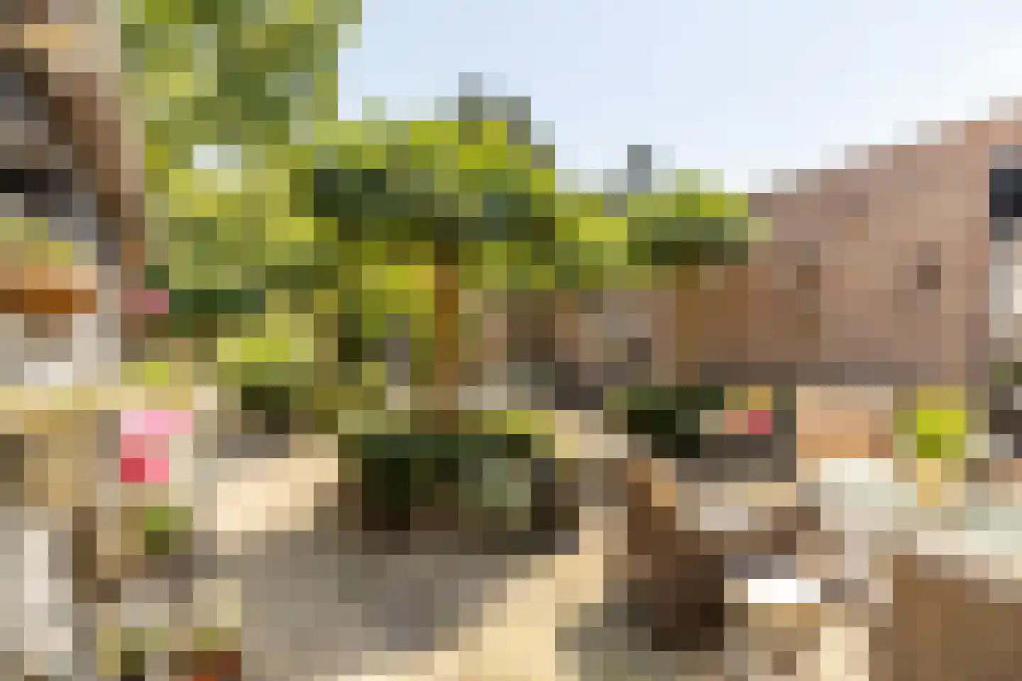 Oranjelaan 17 Harderwijk thumbnail 34