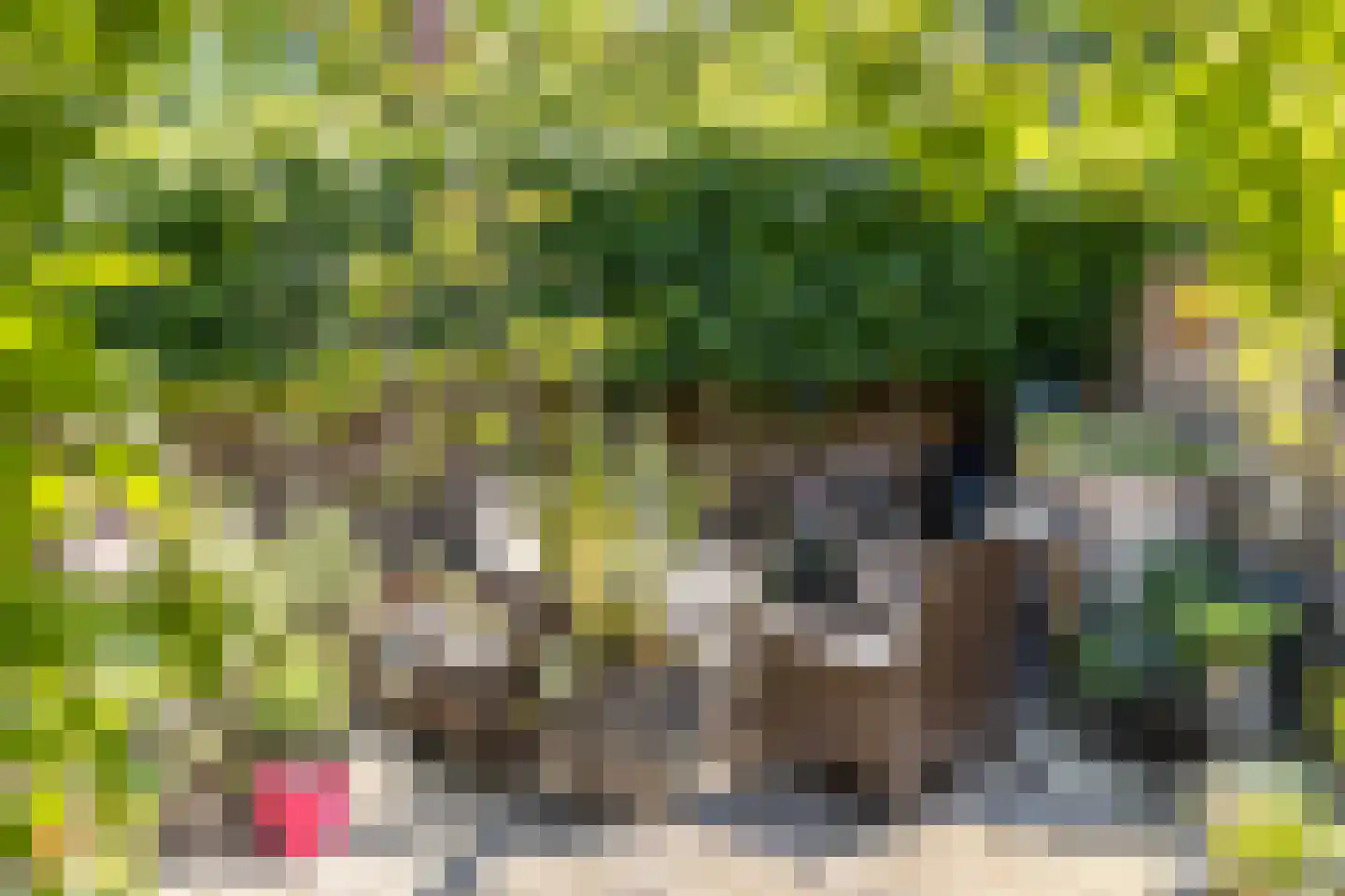 Oranjelaan 17 Harderwijk thumbnail 35