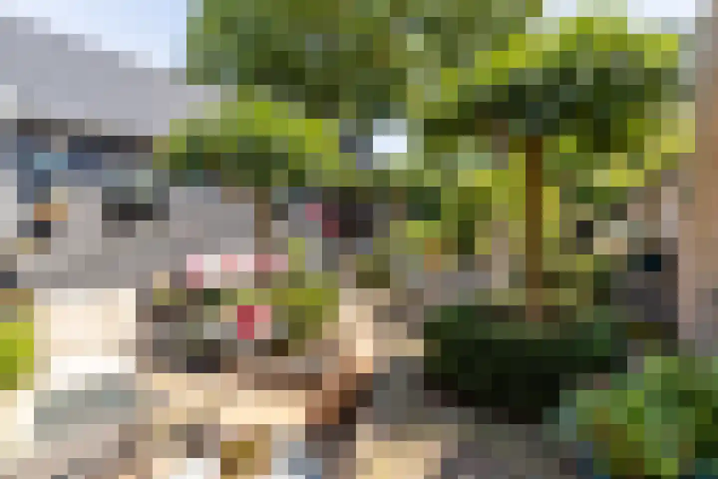 Oranjelaan 17 Harderwijk thumbnail 36
