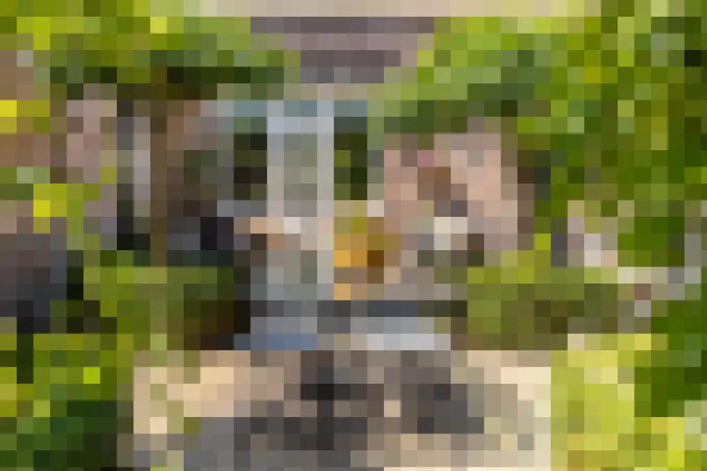 Oranjelaan 17 Harderwijk thumbnail 37