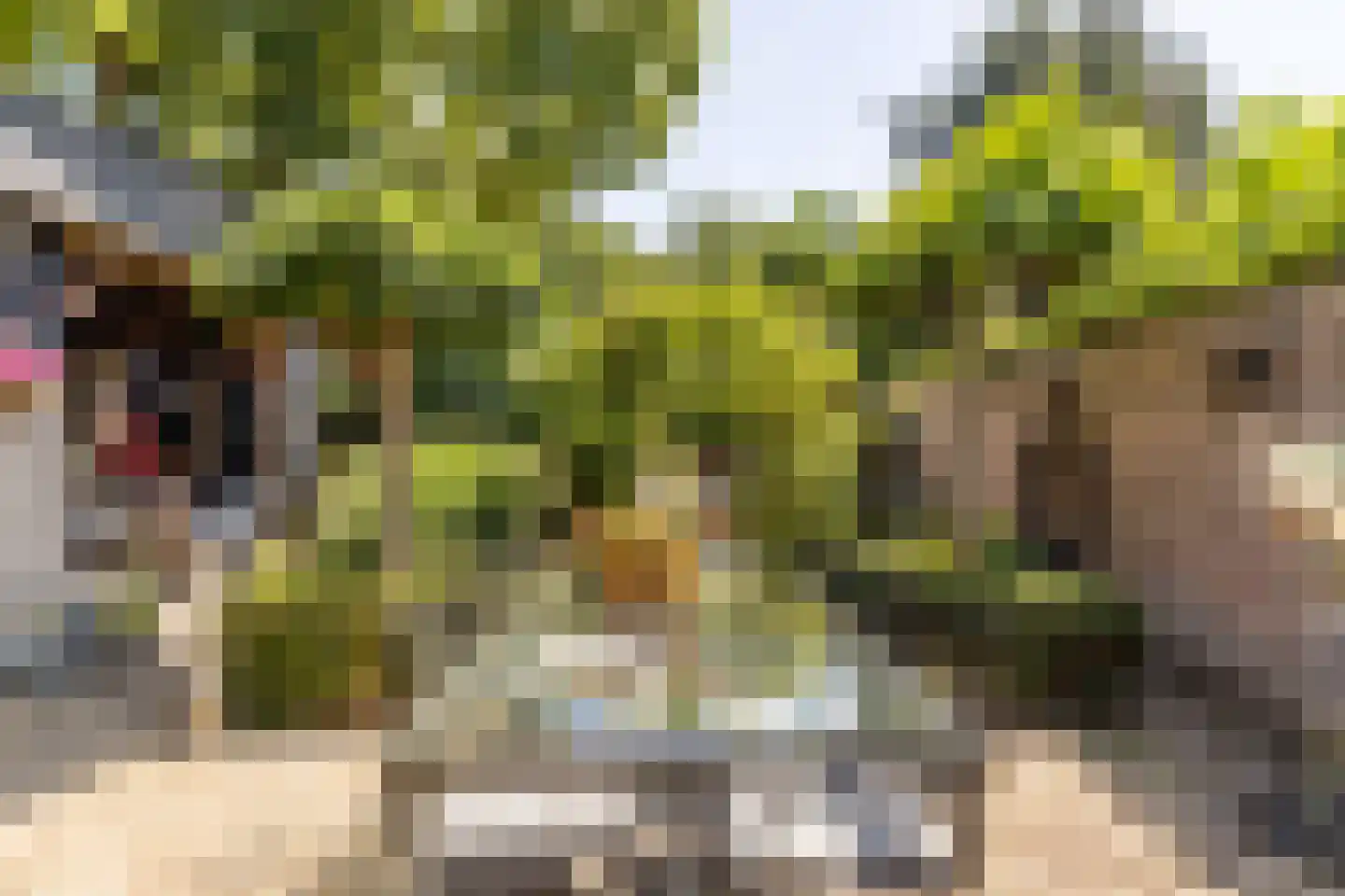 Oranjelaan 17 Harderwijk thumbnail 38