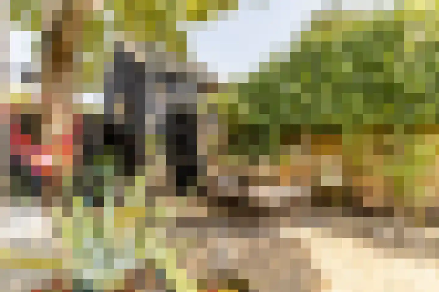Oranjelaan 17 Harderwijk thumbnail 39