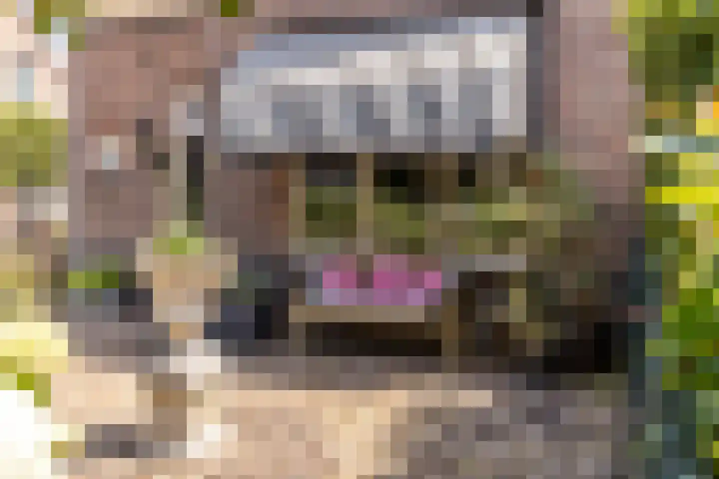 Oranjelaan 17 Harderwijk thumbnail 44