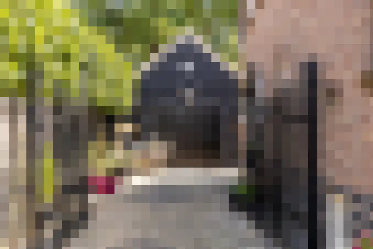 Oranjelaan 17 Harderwijk thumbnail 45