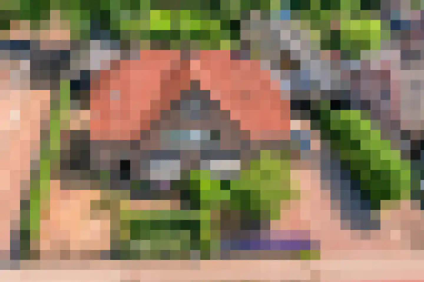 Oranjelaan 17 Harderwijk thumbnail 46