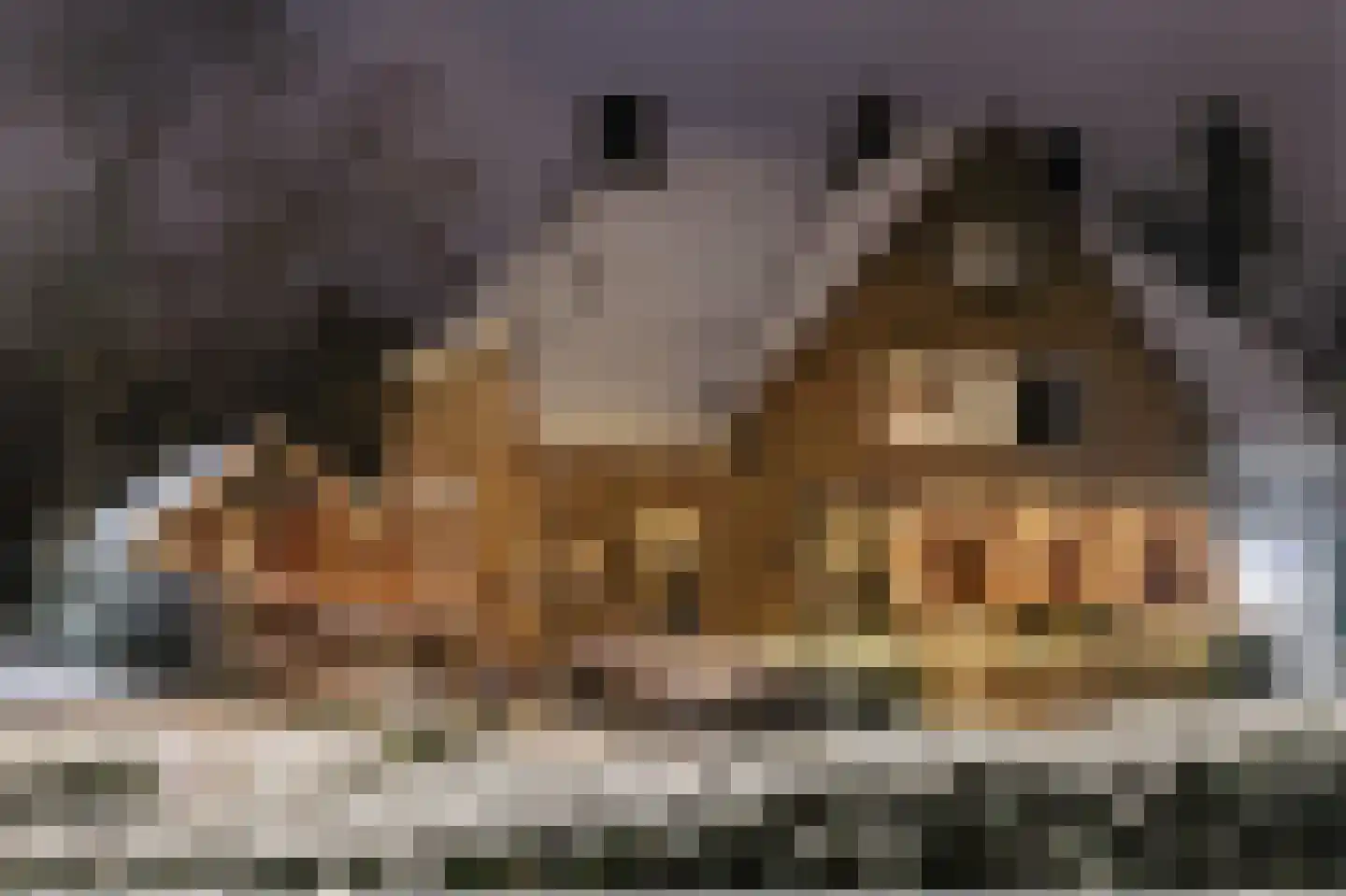 Oranjelaan 17 Harderwijk thumbnail 48