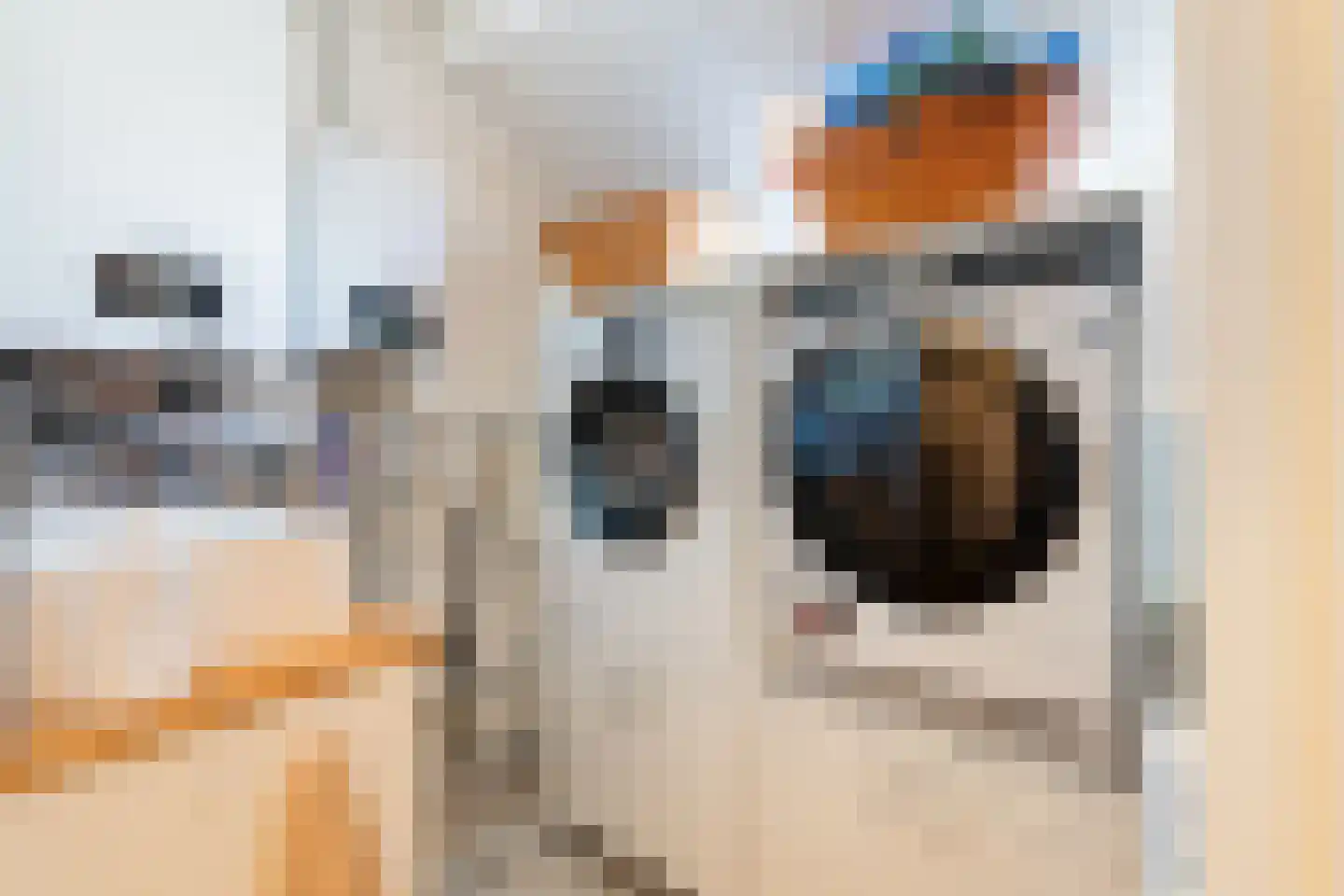 Oranjelaan 175 Rijnsburg thumbnail 37