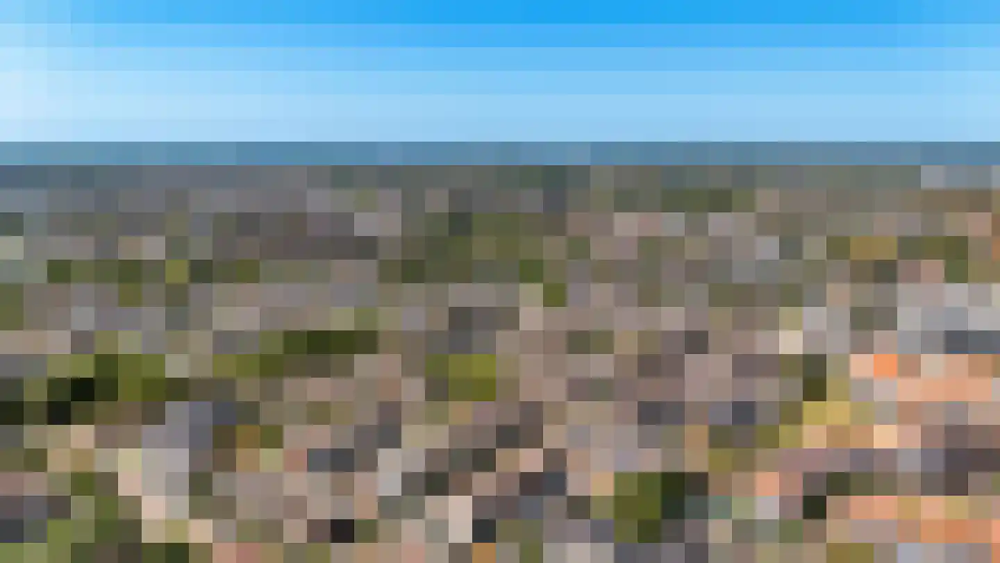 Oranjelaan 175 Rijnsburg thumbnail 50