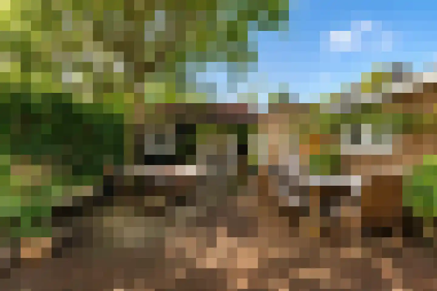 Oranjelaan 18 Driebergen-Rijsenburg thumbnail 34