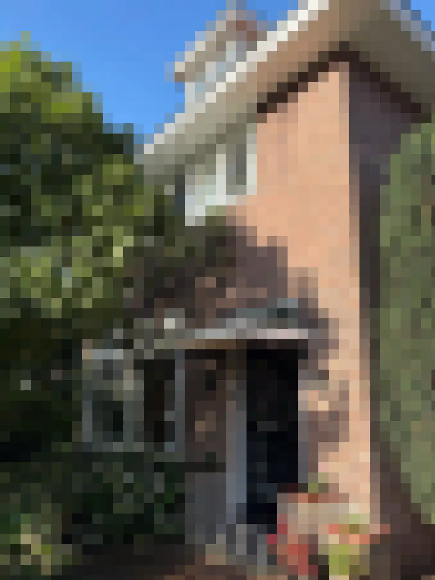 Oranjelaan 18 Driebergen-Rijsenburg thumbnail 42