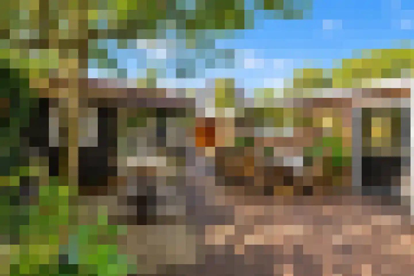 Oranjelaan 18 Driebergen-Rijsenburg thumbnail 5