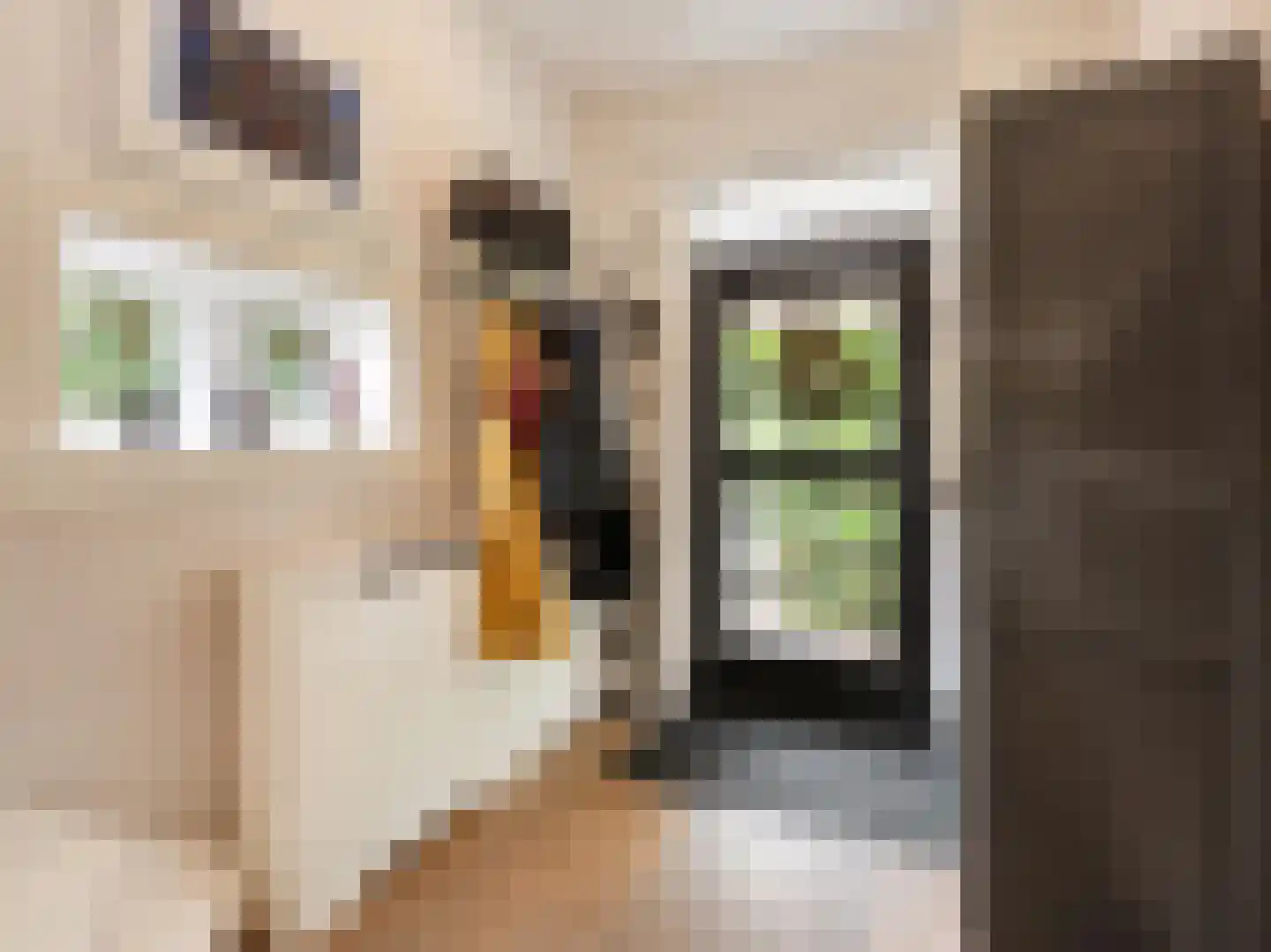 Oranjelaan 18 Driebergen-Rijsenburg thumbnail 7