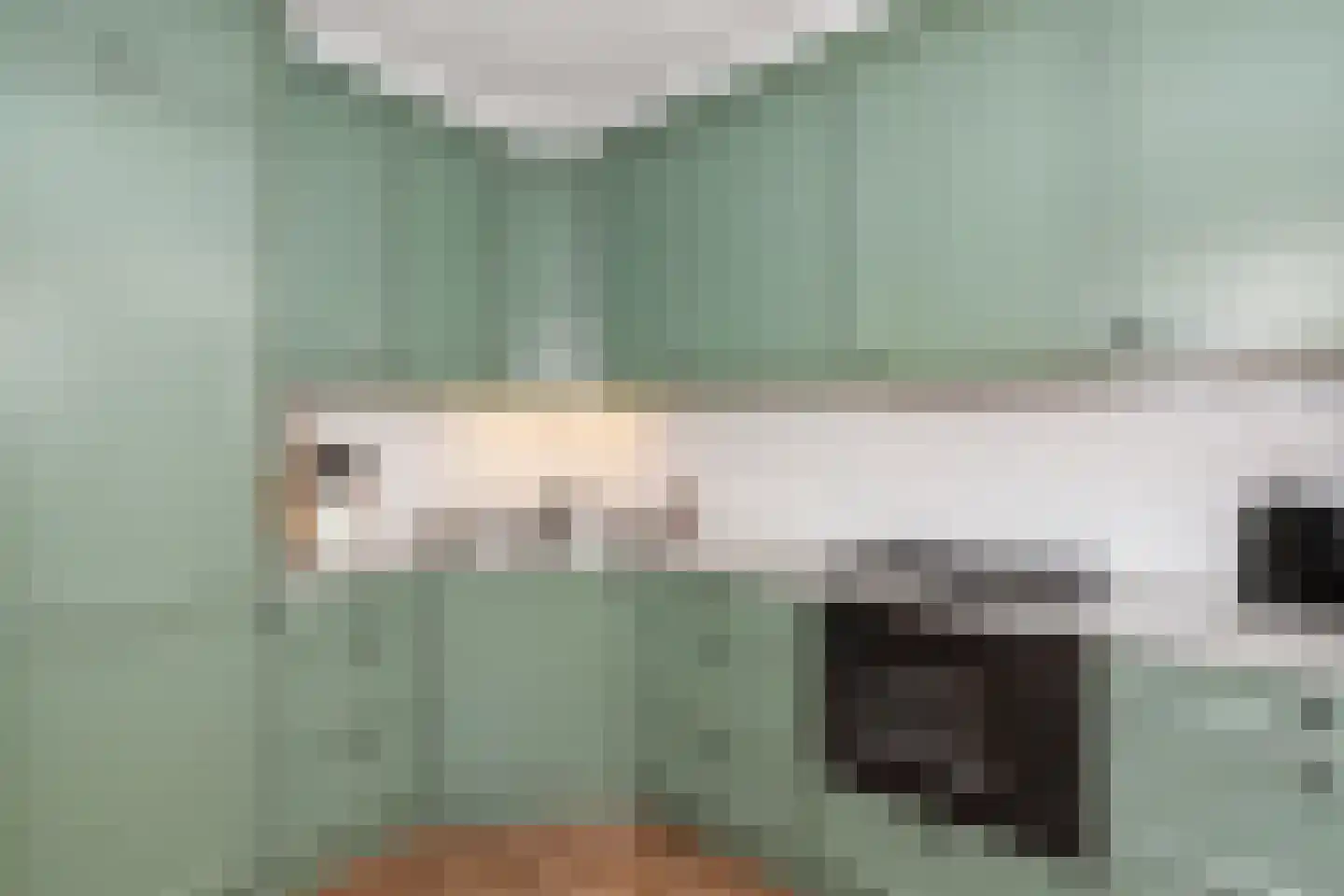 Oranjelaan 18 Giessenburg thumbnail 10