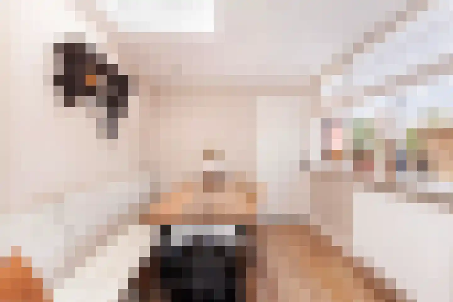 Oranjelaan 18 Giessenburg thumbnail 11