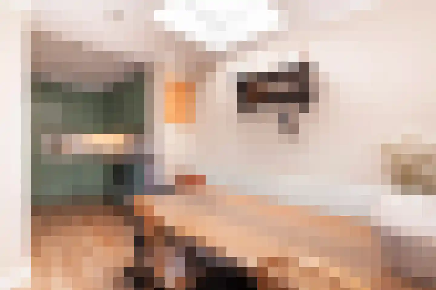 Oranjelaan 18 Giessenburg thumbnail 12