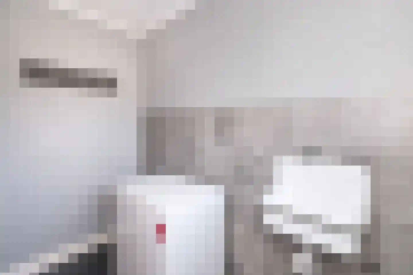 Oranjelaan 18 Giessenburg thumbnail 13