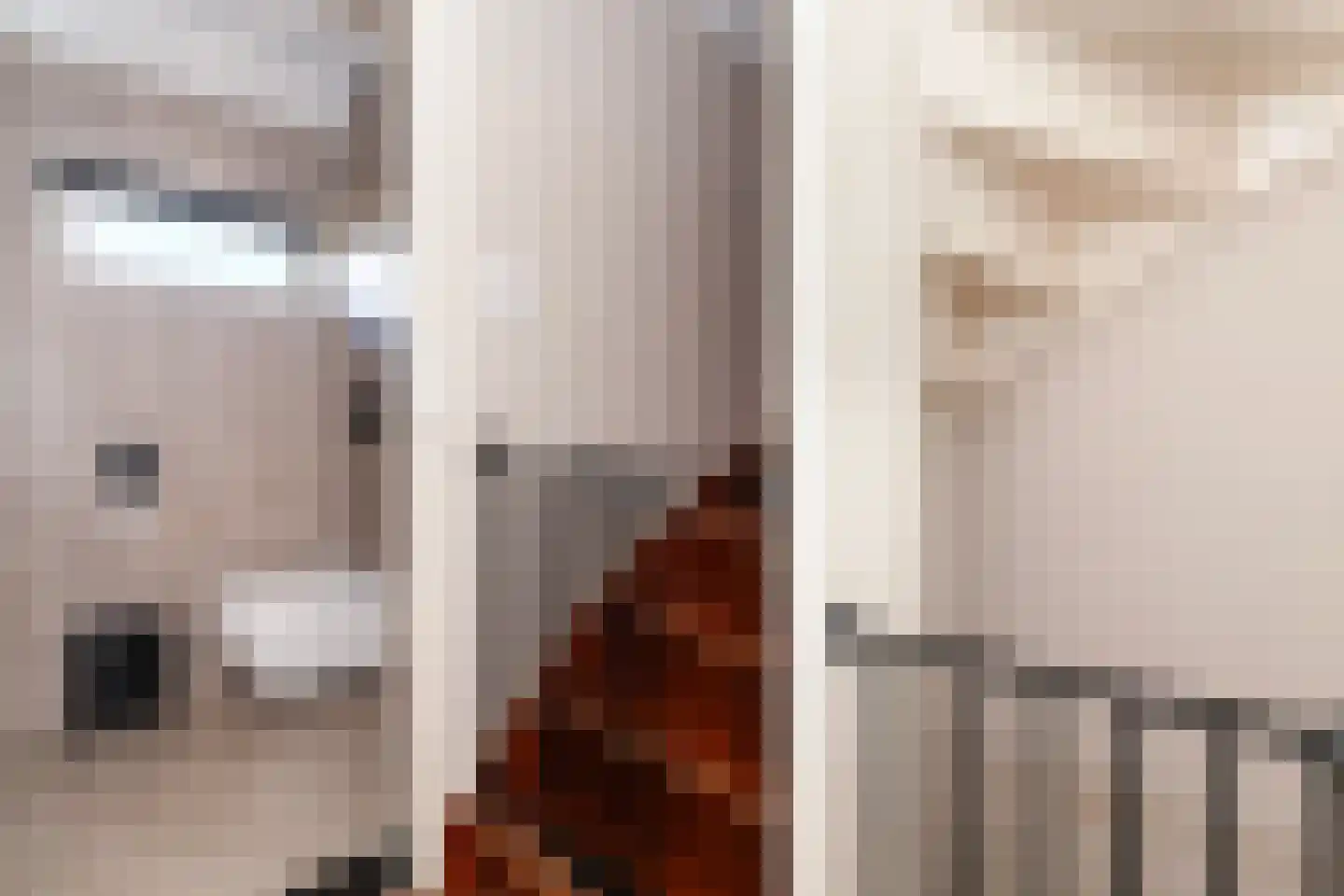 Oranjelaan 18 Giessenburg thumbnail 15