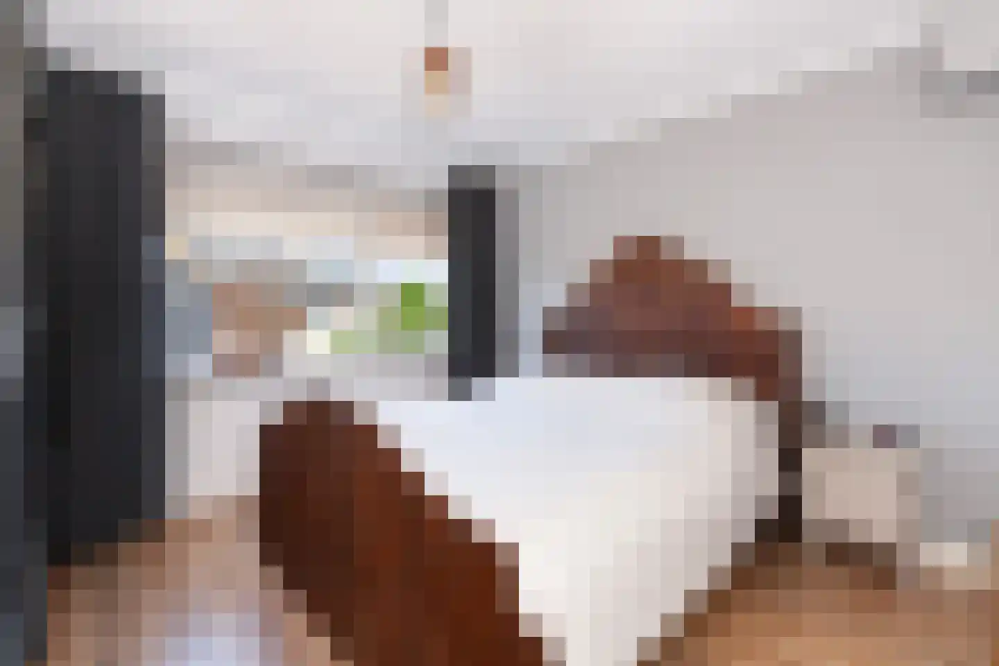 Oranjelaan 18 Giessenburg thumbnail 16