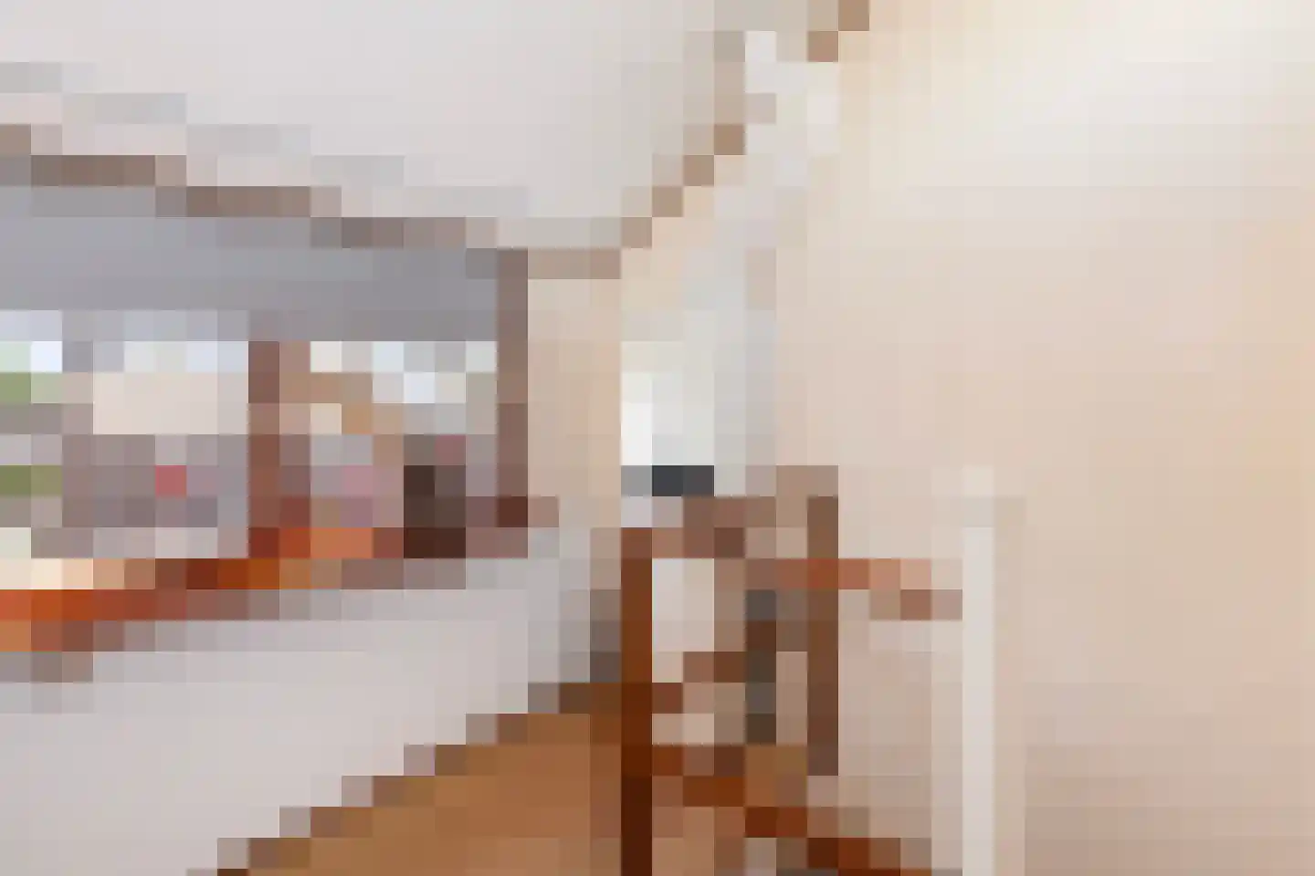 Oranjelaan 18 Giessenburg thumbnail 24