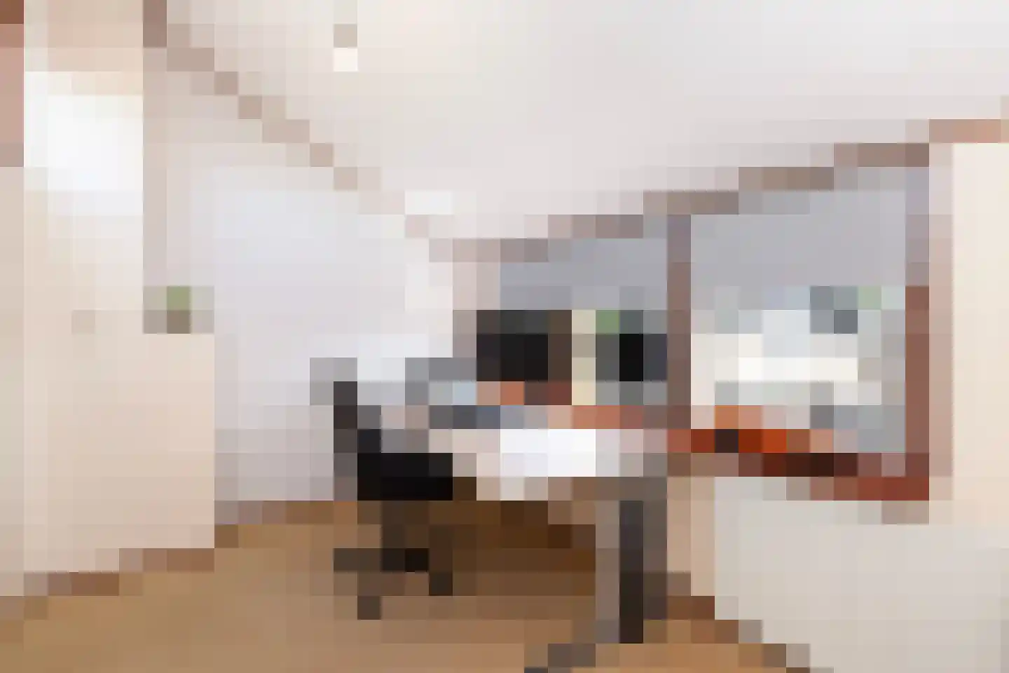 Oranjelaan 18 Giessenburg thumbnail 26