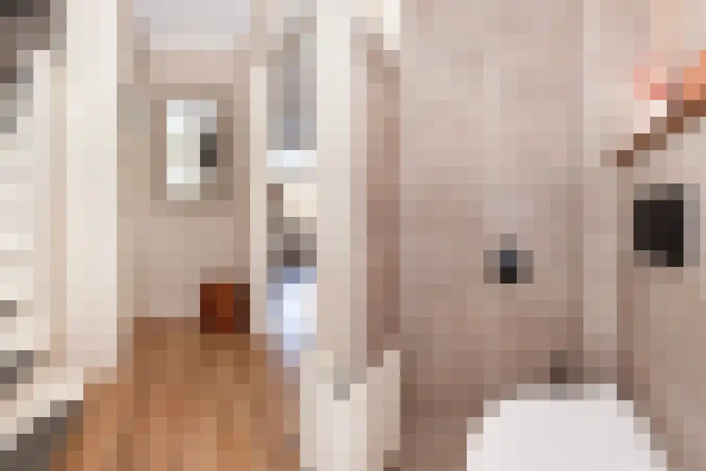 Oranjelaan 18 Giessenburg thumbnail 5