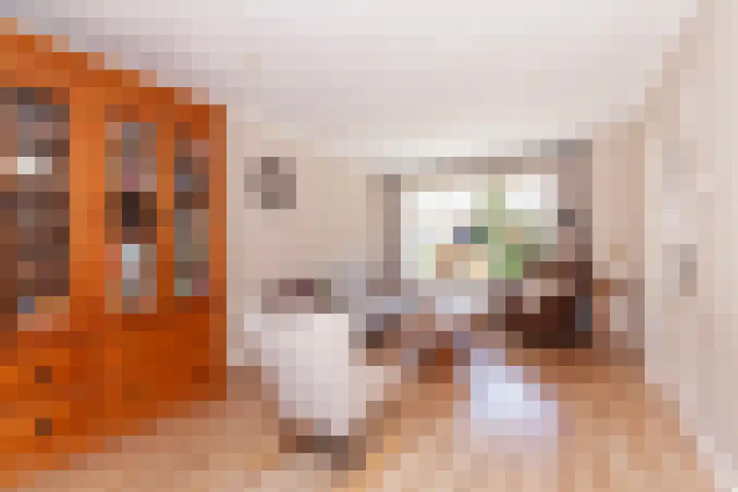 Oranjelaan 18 Giessenburg thumbnail 6