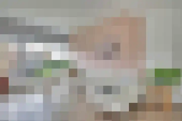 Oranjelaan 19 Zevenaar thumbnail 12