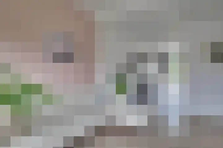 Oranjelaan 19 Zevenaar thumbnail 13