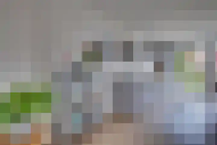 Oranjelaan 19 Zevenaar thumbnail 14