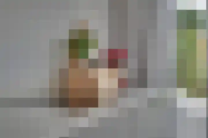 Oranjelaan 19 Zevenaar thumbnail 16