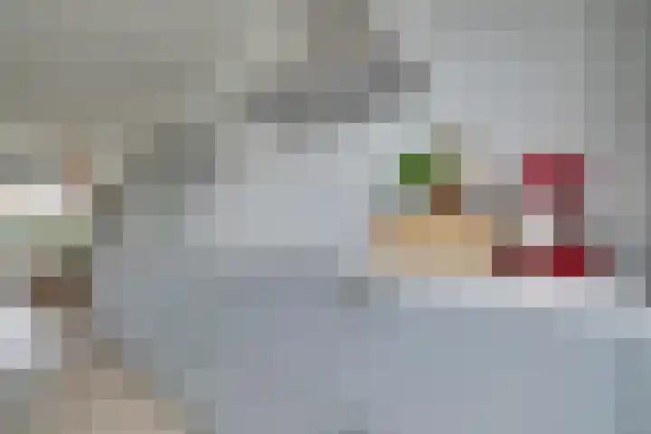 Oranjelaan 19 Zevenaar thumbnail 17