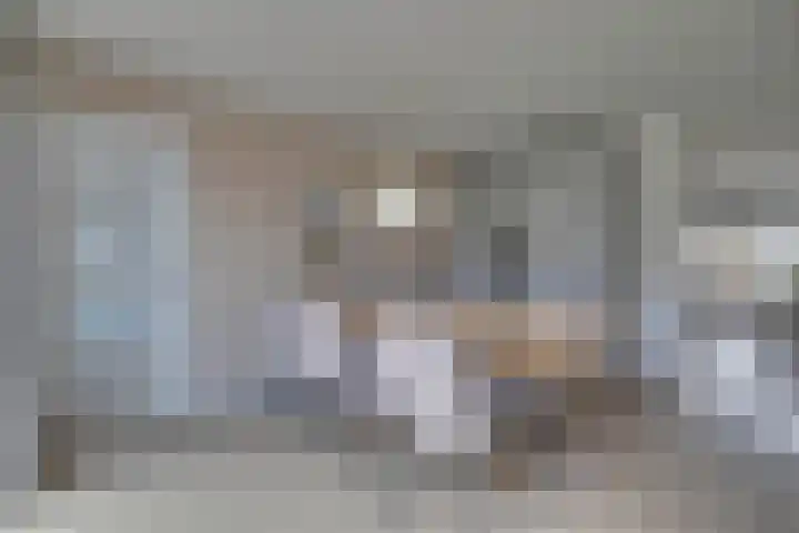 Oranjelaan 19 Zevenaar thumbnail 18