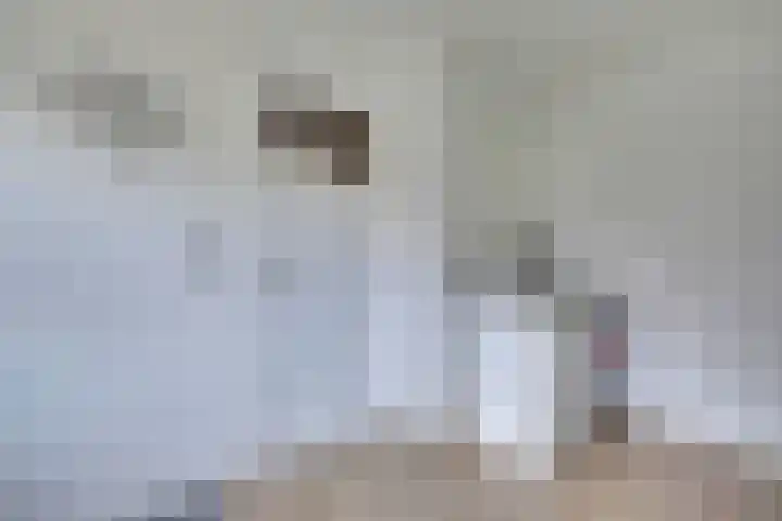 Oranjelaan 19 Zevenaar thumbnail 19