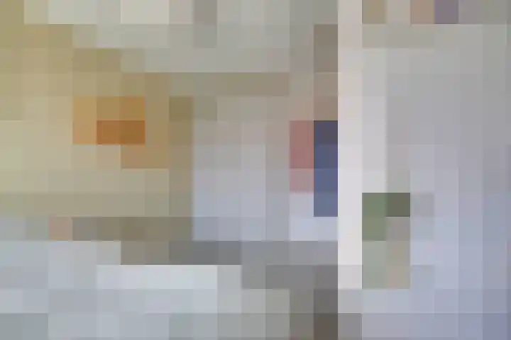 Oranjelaan 19 Zevenaar thumbnail 31