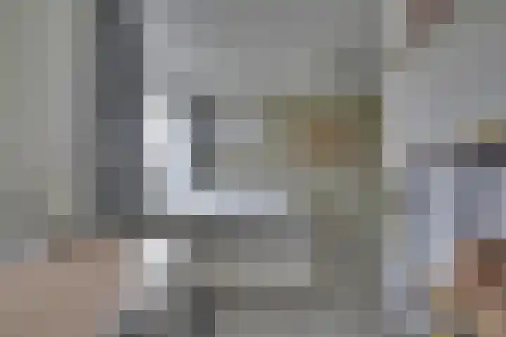 Oranjelaan 19 Zevenaar thumbnail 32