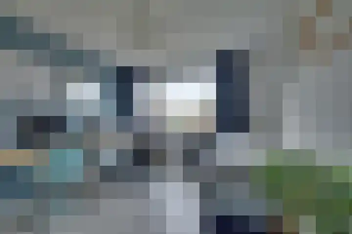 Oranjelaan 19 Zevenaar thumbnail 36