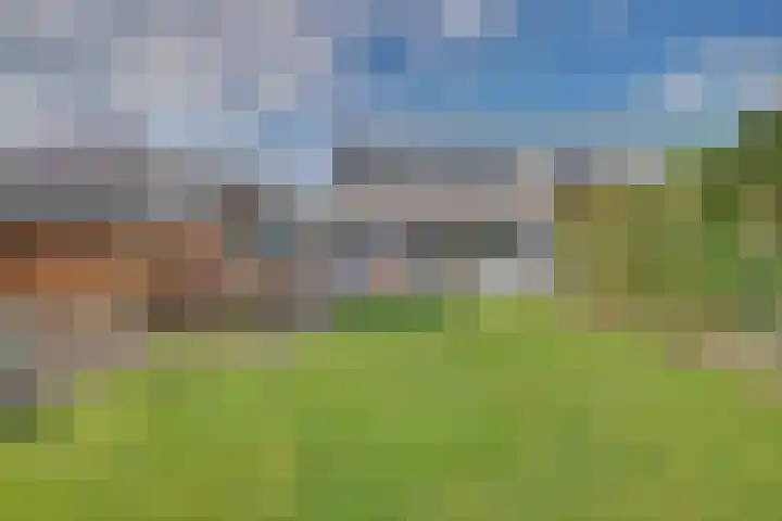Oranjelaan 19 Zevenaar thumbnail 44